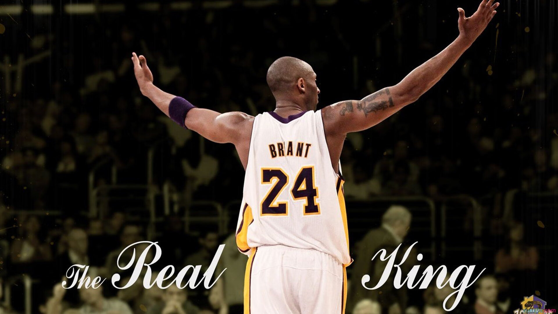 步行者狂胜灰熊，约基奇在世界排名争夺战中接管比赛