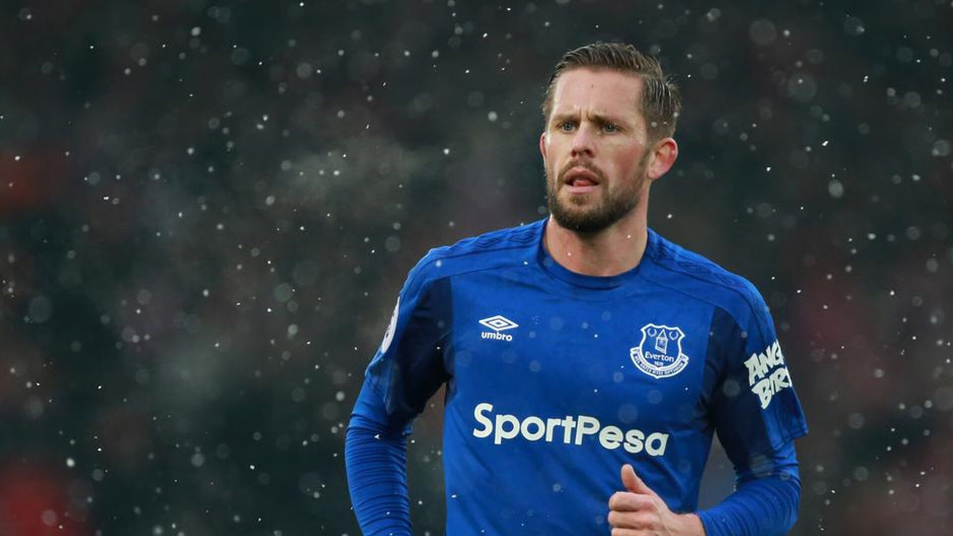 蒙特卡洛奇迹,蒂姆统治全场,戴维斯杯史诗翻盘背后的王者逻辑