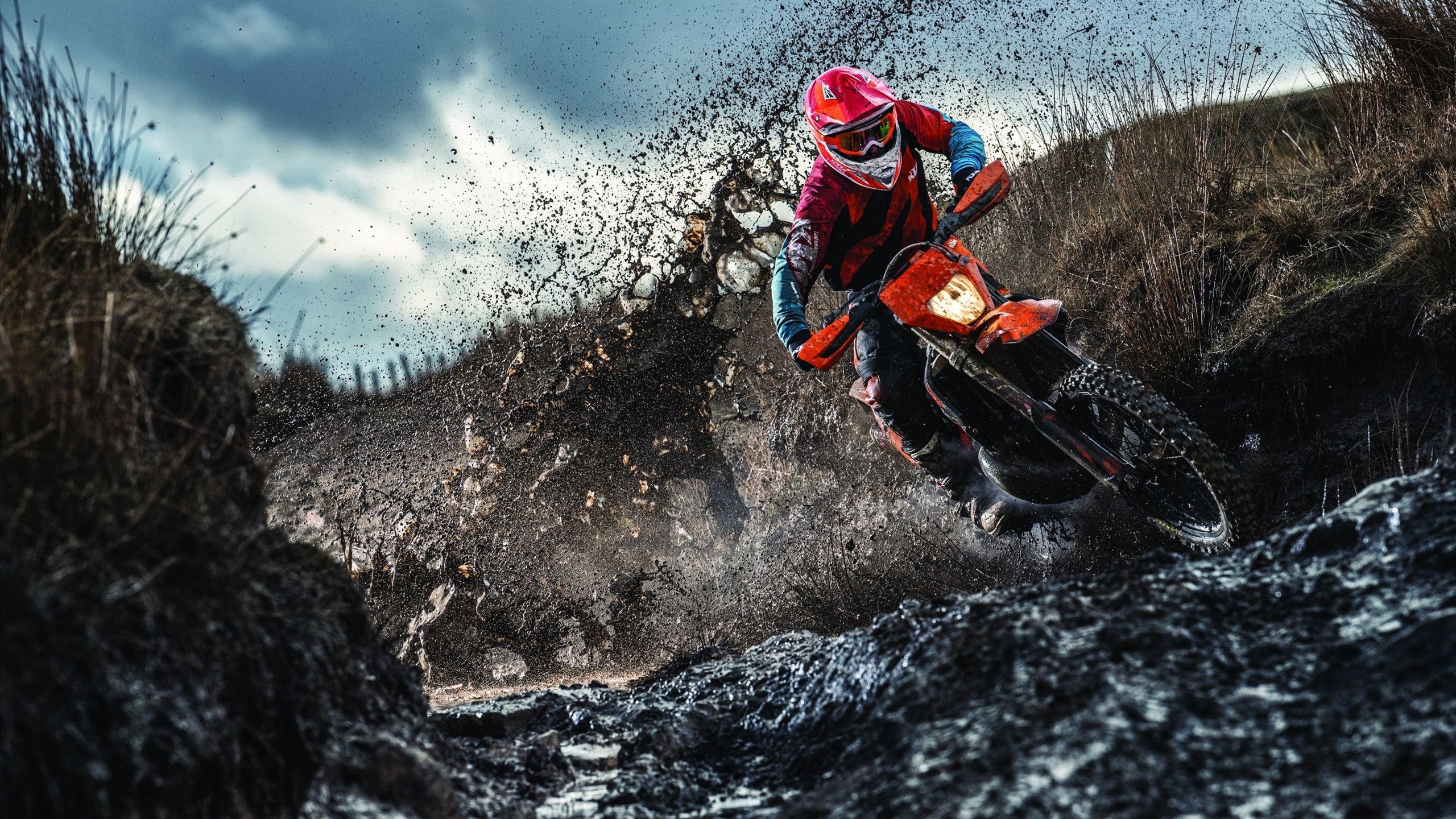 美网碾压温网？穆雷刷新纪录背后的硬地革命与草地质疑